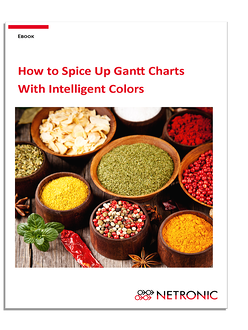 Ebook_-_How_to_Empower_Gantt_Charts_With_Intelligent_Colors